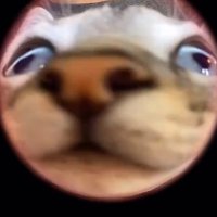GWJr. (@gwjrthe3rd) 's Twitter Profile