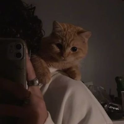 JIRA_HAIELY's profile picture. gift of loyalty,
punishment of loyalty