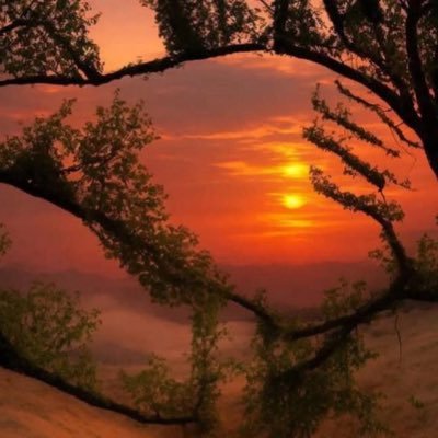 trgovinafresh's profile picture. None of my posts are suggestions or financial advice. Dyor