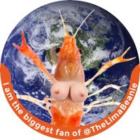 Prawnie 🦐 (Phat Ass Rawnie) (@thelimabeanie) 's Twitter Profile