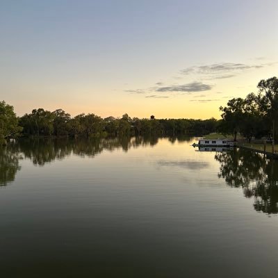 MasMia8's profile picture. 