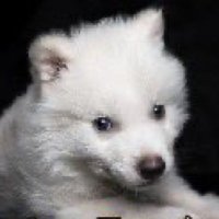 FECHARAM NOSSO BAR 18/04 (@adanamontana) 's Twitter Profile Photo FECHARAM NOSSO BAR 18/04 (@adanamontana) 's Twitter Profile Photo