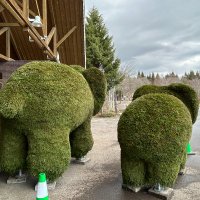 北欧の杜公園 (@hokuounomori) 's Twitter Profile Photo 北欧の杜公園 (@hokuounomori) 's Twitter Profile Photo
