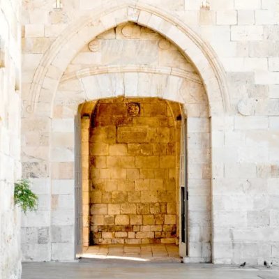 kingsgard3n's profile picture. "All of their heroes are cartoon characters — they're all fictional."