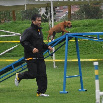 Práctico, liberal y optimista. Procuro ser feliz. Casado y padre de 3 seres geniales. Apartidista además.