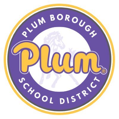 Plum Borough SD Profile