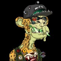 Buffalo (@0xbuffalo) 's Twitter Profile