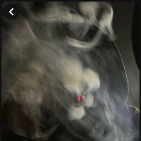 Big Daddy LJ (@otwxxx) 's Twitter Profile Photo Big Daddy LJ (@otwxxx) 's Twitter Profile Photo