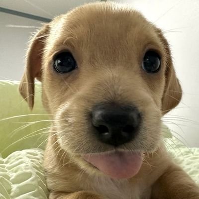 gabs2qi's profile picture. ? não
bb