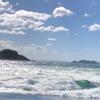 彷徨 (@fesoidm) 's Twitter Profile