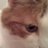 mariekthelion's profile image