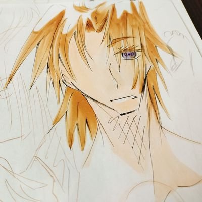 FGO最新話完走/せきいえさんのプロフィール画像