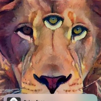 MHarley0's profile picture. that guy who thinks magic is real neet