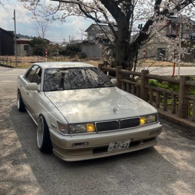c33 (21)