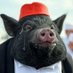 यादमुल्ला Piggy 🐷 (@piggyyadmulla) Twitter profile photo यादमुल्ला Piggy 🐷 (@piggyyadmulla) Twitter profile photo