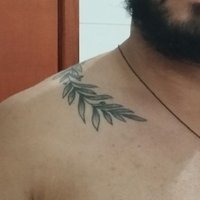 gustftm (@gustftm) 's Twitter Profile