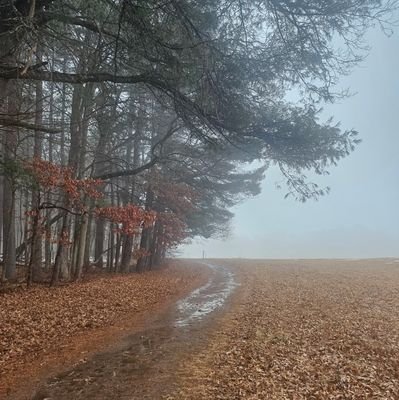 xulong82's profile picture. mathematics