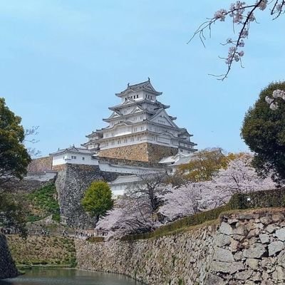 YyXhzhGKii94557's profile picture. ハンドル名は元・『ジン』、『天』、『タカ』です。元・超熱狂的なプロレスファン！(元ですがね)機種変更やら色々ありハンドル名は変わりましたが…宜しくお願いいたします。