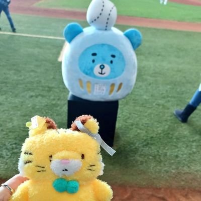 ayufs230599's profile picture. 野球垢◎
FS#23#16#5
さちとらときよのむ🫶