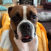 Andy (@aws608) 's Twitter Profile