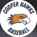 Robbinsdale Cooper Hawks Baseball (@rchshawksbsbl) Twitter profile photo Robbinsdale Cooper Hawks Baseball (@rchshawksbsbl) Twitter profile photo