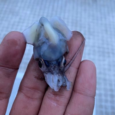 GT2IqBAPbDqPuzI's profile picture. 