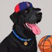 not lenny (@clipperslenny) Twitter profile photo not lenny (@clipperslenny) Twitter profile photo
