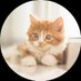ゆなゆな🐾𓃠 (@bhatjimmy2) Twitter profile photo ゆなゆな🐾𓃠 (@bhatjimmy2) Twitter profile photo