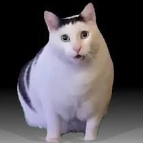 leonclr99's profile picture. 