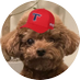 호호 (@hohodrrung) Twitter profile photo 호호 (@hohodrrung) Twitter profile photo