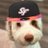 @SFGiantsMemes