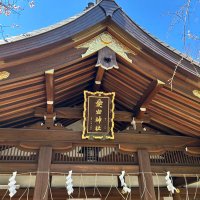 えふ　株　先物 (@toshiapparel39) 's Twitter Profile Photo