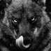 Alex (@alex2849924849) Twitter profile photo Alex (@alex2849924849) Twitter profile photo