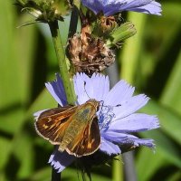 Cheryl29 (@cheryl2919) 's Twitter Profile