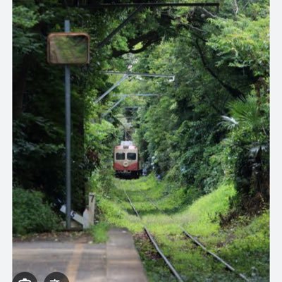 AVAmpc11GjQkVwu's profile picture. よろしくお願いします