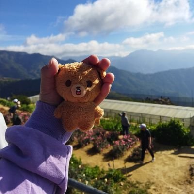 peylees's profile picture. Hi it's me @pey_fullsun