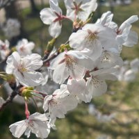 二十八 (@6qqbcmssymslmg4) 's Twitter Profile Photo