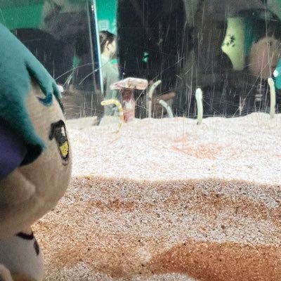 おのれ。沙布め。さんのプロフィール画像