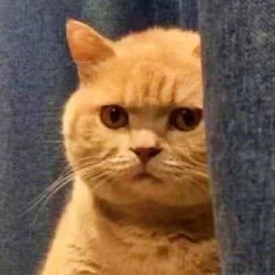 sunshine_zxd's profile picture. 