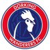 Dorking Wanderers FC (@dorkingwdrs) Twitter profile photo Dorking Wanderers FC (@dorkingwdrs) Twitter profile photo