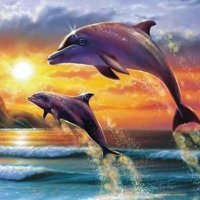 Carmen (@c_palomitas) 's Twitter Profile