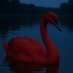 Cygne “Muh, my 401k!😫” Rouge (@cygnederougue) Twitter profile photo Cygne “Muh, my 401k!😫” Rouge (@cygnederougue) Twitter profile photo
