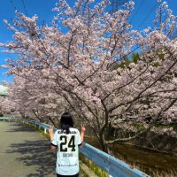 ともこ🐮♦️ (@tmk_vissel) 's Twitter Profile