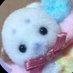 ちさ (@chisa_1112_) Twitter profile photo ちさ (@chisa_1112_) Twitter profile photo