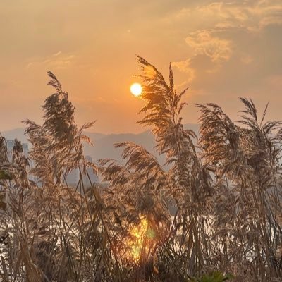 mbjuni's profile picture. 내가 좋아하는 사진을 빛 그림으로 만드는 그날을 위해