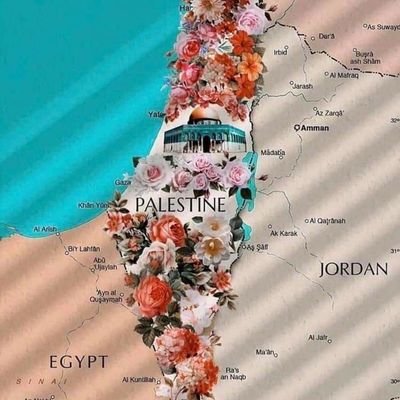 JusticeFor35928's profile picture. Sharing events and facts from Palestine to the world, with the aim of raising awareness about Palestinian issues and the rights of the Palestinian people.