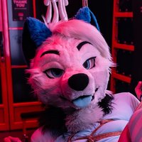 Benji the Sexy Ass Wusky (@benjimaycherad) 's Twitter Profile Photo Benji the Sexy Ass Wusky (@benjimaycherad) 's Twitter Profile Photo