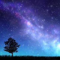 Shitoa (@shitoa_design) 's Twitter Profile