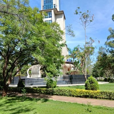 Kibet1666596's profile picture. 