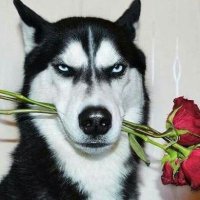 🕯외 99명 (@old_fefe) 's Twitter Profile
